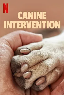 Cali K9: Köpek Terapistleri