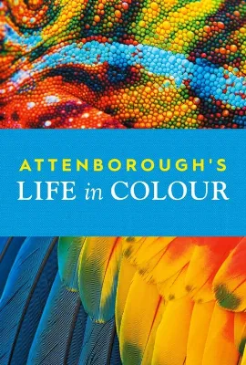 David Attenborough ile Yaşamın Renkleri